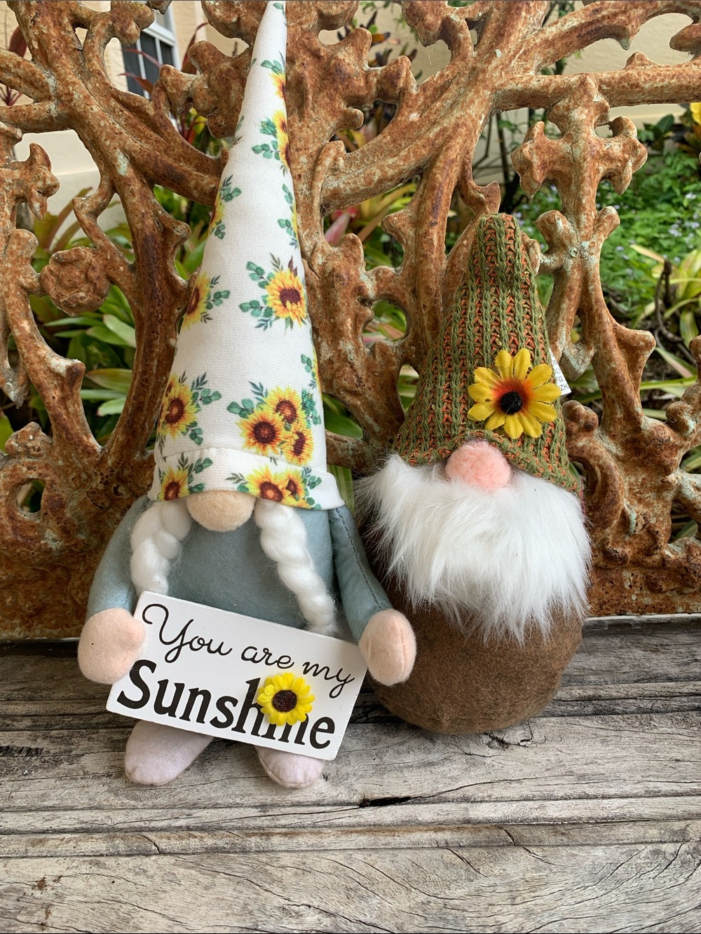 Sunflower Gnome Holding “You are my Sunshine” Sign and Brown Gnome